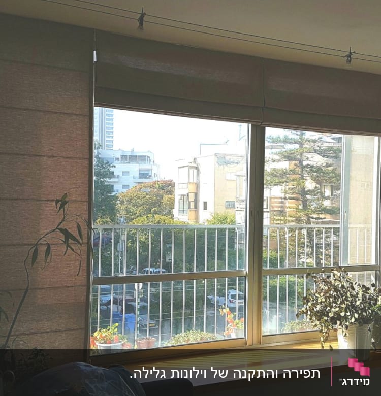 וילונות גלילה חומים על חלון גדול